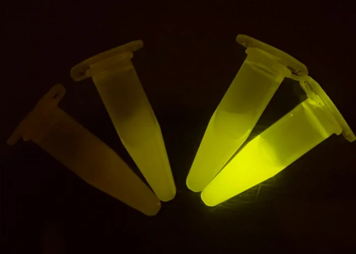 Microbial host identified!